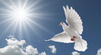 Obituary of Olivia Jean Norris