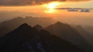 Obituary of Tyler George Senter