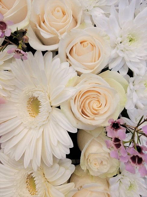 Obituary of Derek Raymond Meehan