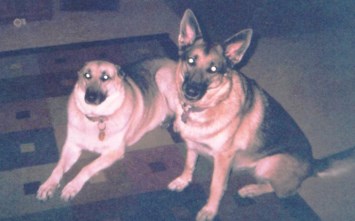 Obituary of Richard Daniel Browning