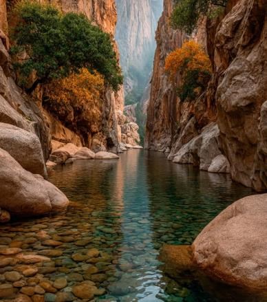 Portrait of Edward Everett Campbell