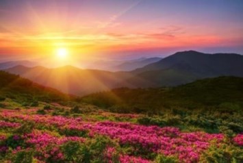 Obituary of Christine A Benge