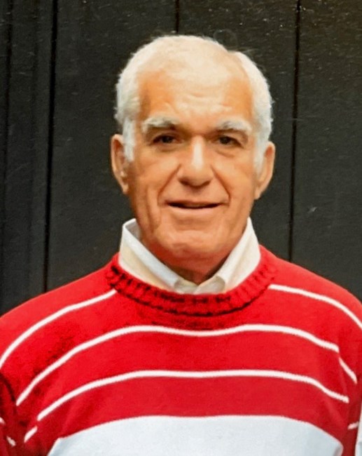 Obituary of Sidney Levin