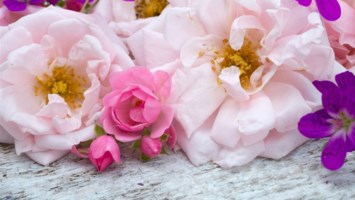 Obituary of Maurita Irene Hamilton