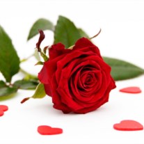 Obituary of Ouida Roberts Pfister