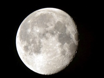 Obituary of James D. Rose