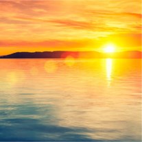 Obituary of Patsy Lee Barnes