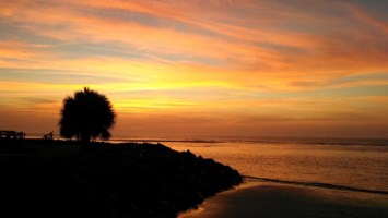 Obituary of Michael Gray Vinson Sr.