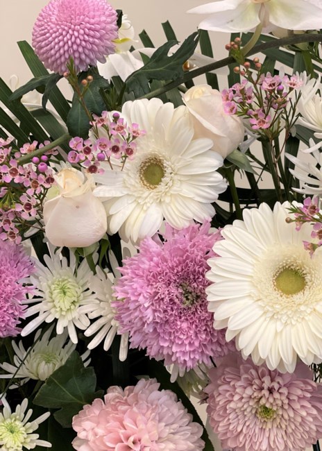 Obituary of Yue Ying Lim