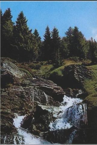 Obituary of Juan Sebastian Gallardo