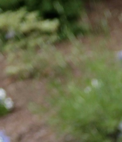 St Albans Vt Messenger Obituaries