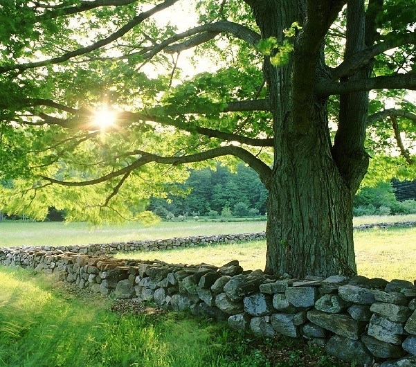 Obituary of Jose Jeffrey Rustia