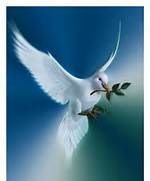 Obituary of Anthony J. D'Aria Sr.