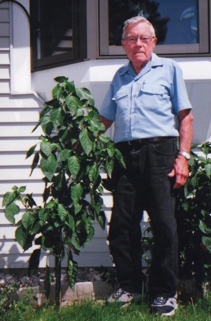 Obituary of Robert "Bob" Stevens