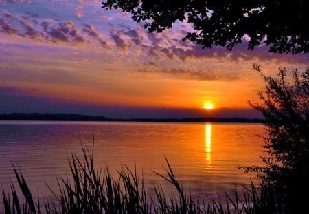 Obituary of Norma Curtin