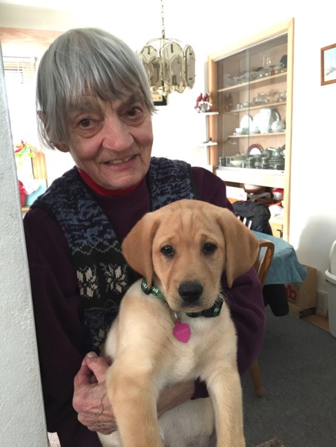 Obituary of Anna Haski