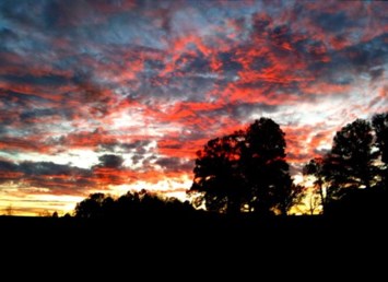 Obituary of Nina E. Shilling