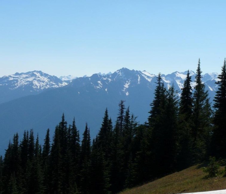 Obituary of Catherine Hargrove