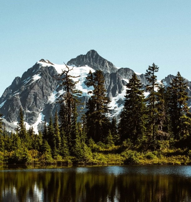 Obituary of Edward Dean Schippmann