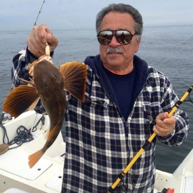 Obituary of Francis "Fran" Vitale