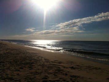 Obituary of Susan W. Dewitt