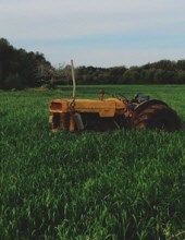 Obituary of Ted L. Hoy