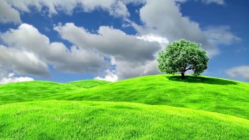 Obituary of Roy Delbert Aune