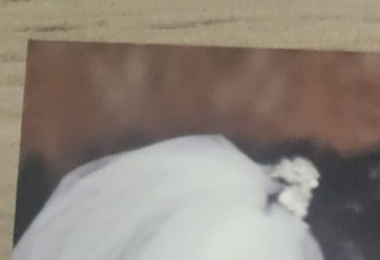 José Raúl Rivera Franco Obituary - San Juan, PR