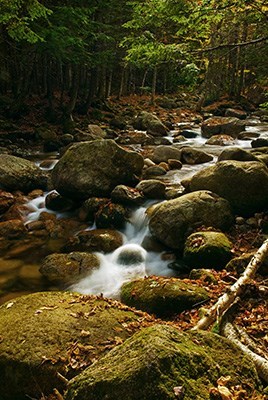 Obituary of James Michael Frishkey