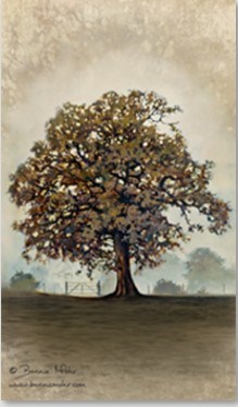 Obituary of William Alfred Miller