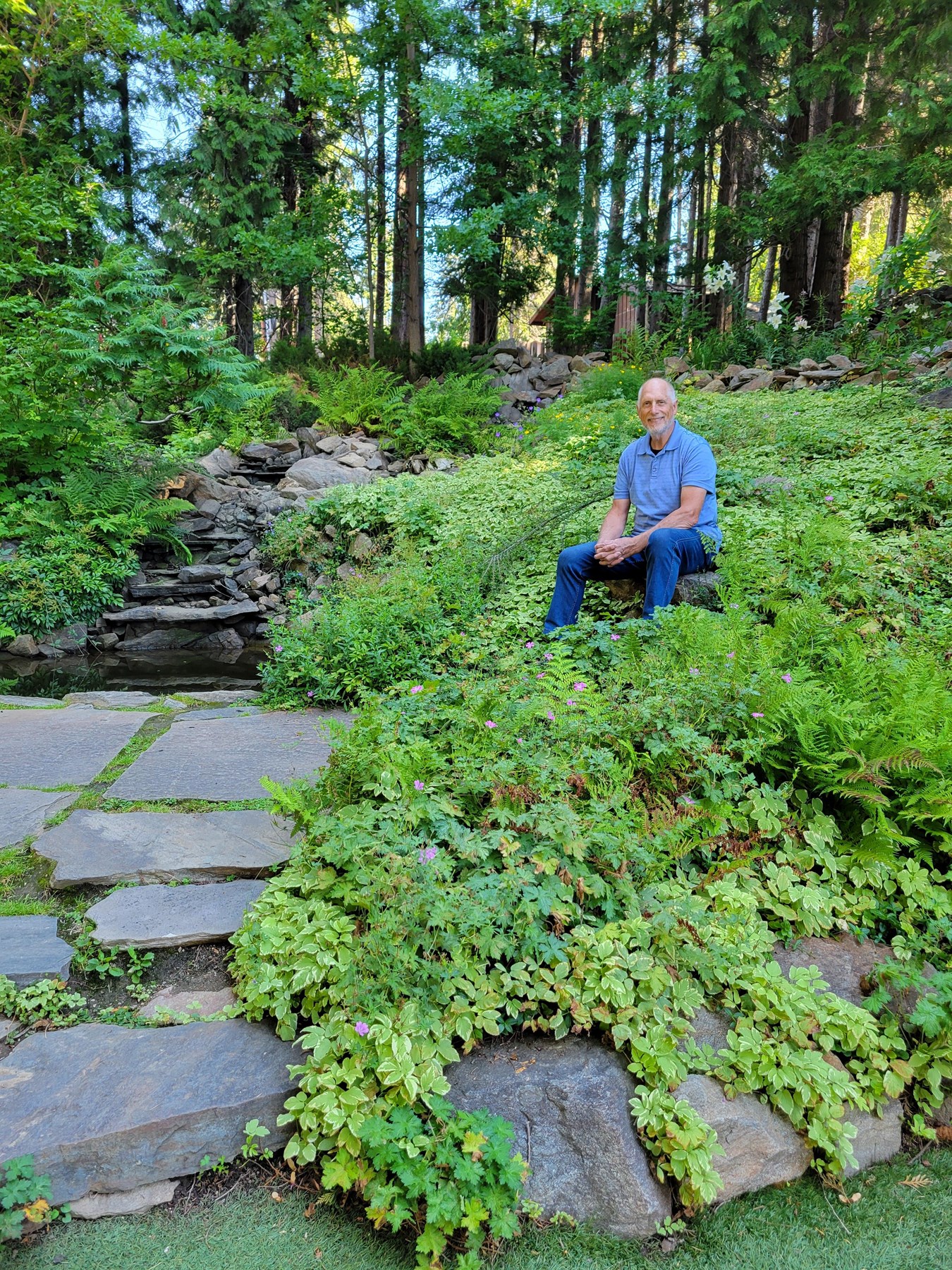 Obituary of Michael Vincent Fajer