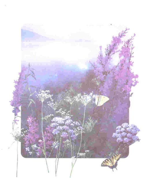 Avis de décès de Dorothy M Haney