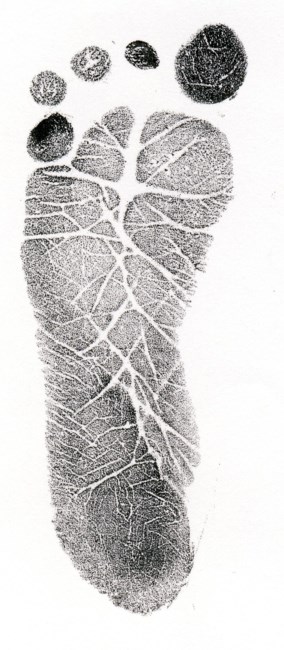 Obituary of Ruby Lucia Bishop