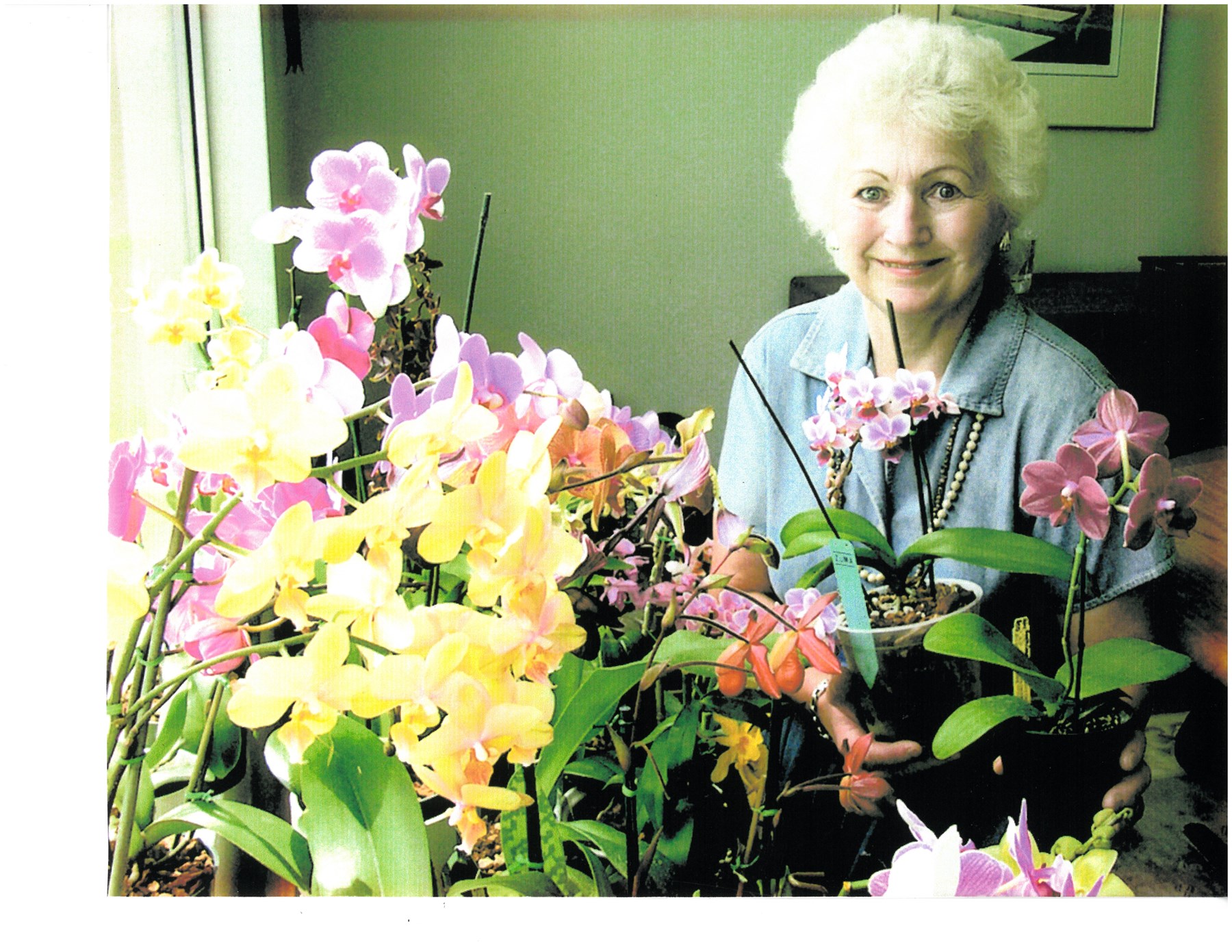 Obituary of Janet Pierson Abbink