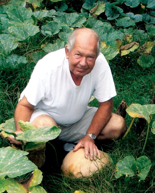 Obituary of Dwight Junior Bolick