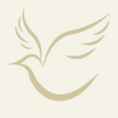 Obituary of John A. Moscardelli