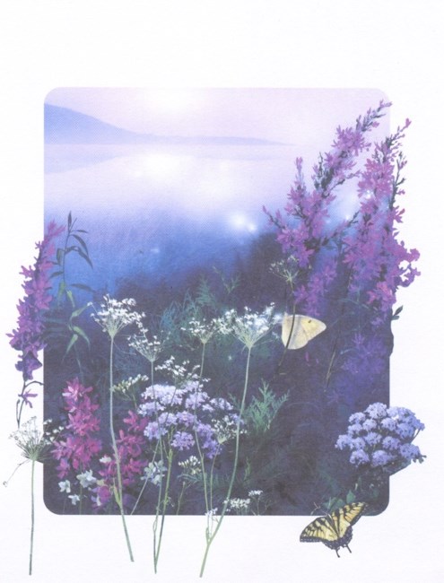 Obituary of Helen M. Adams