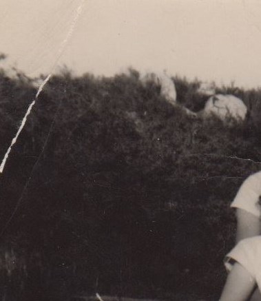 Warren & Jean Wittig Obituary - Portland, OR