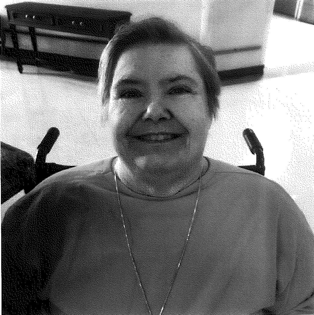Obituary of Mary Carol Beaudoin