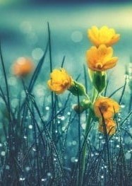 Obituary of Benito Moreno Santos