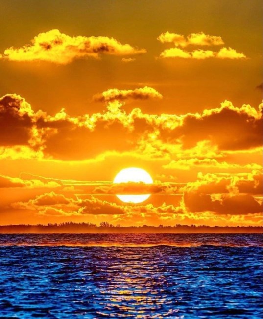 Obituary of Jeffrey Thomas Howard