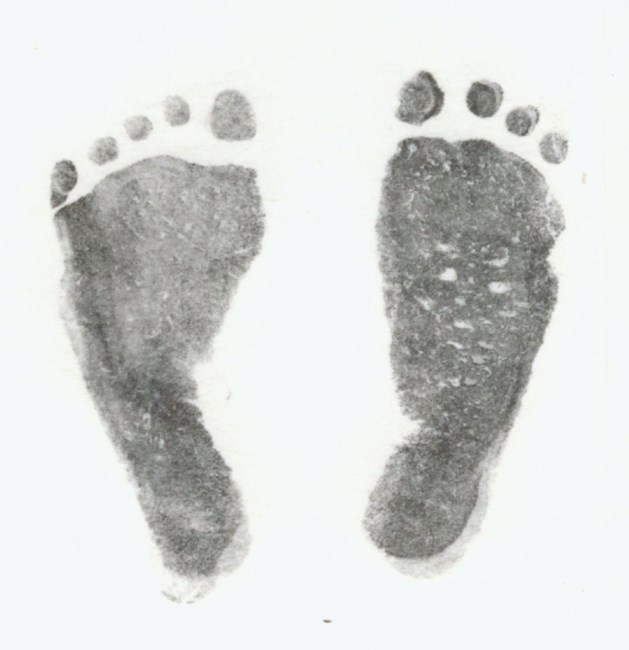 Obituary of Gavin Rees Plascencia-Fullerton