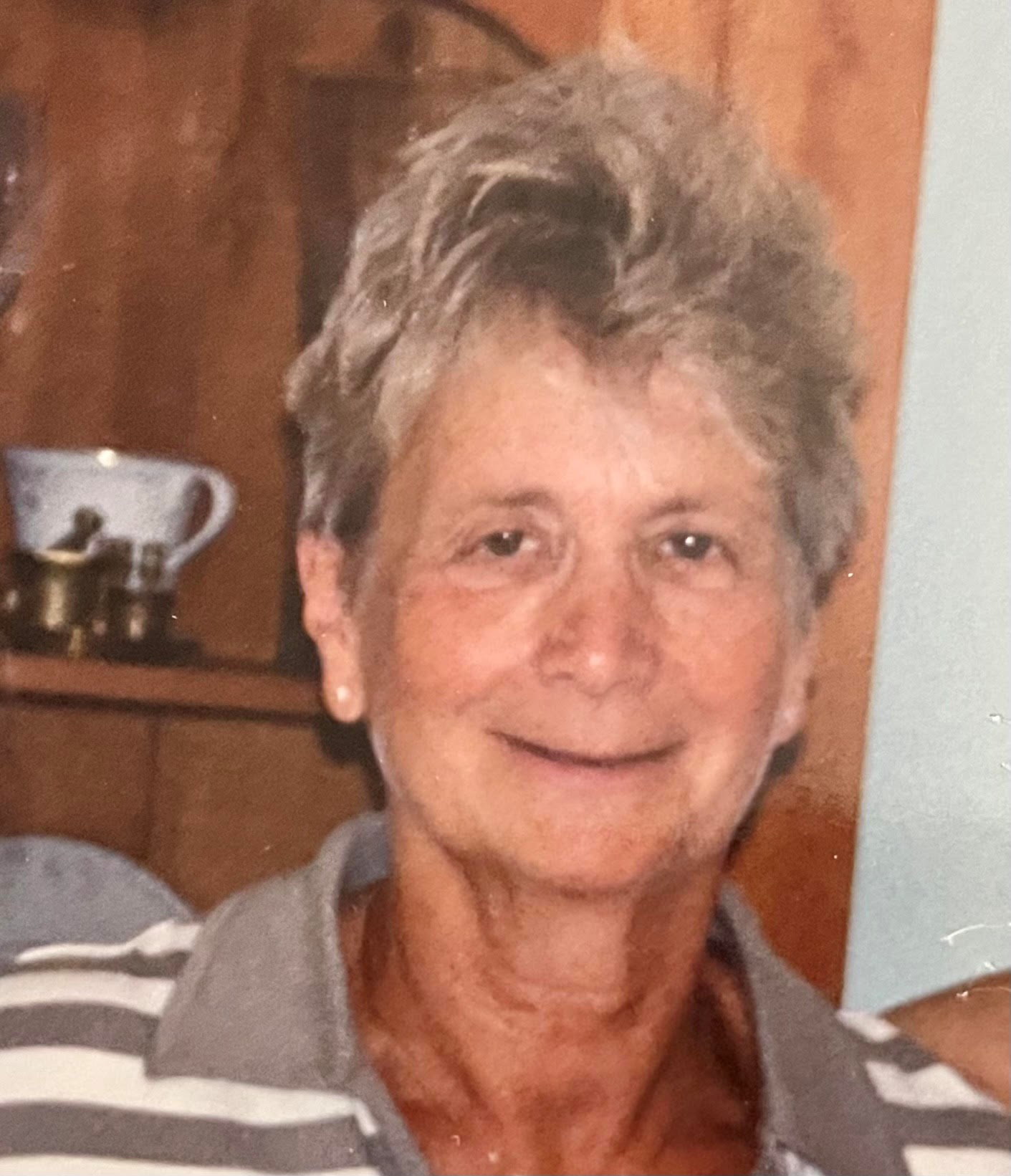 Obituary of Francine D. (Fineman) Snyder