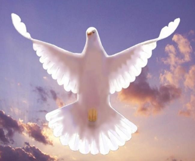 Obituario de Bettye Oaks