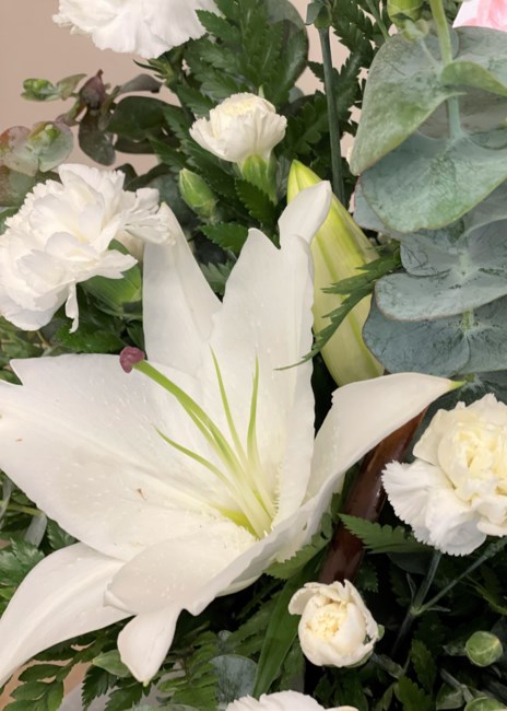 Obituary of Daisy Isobel Stillman