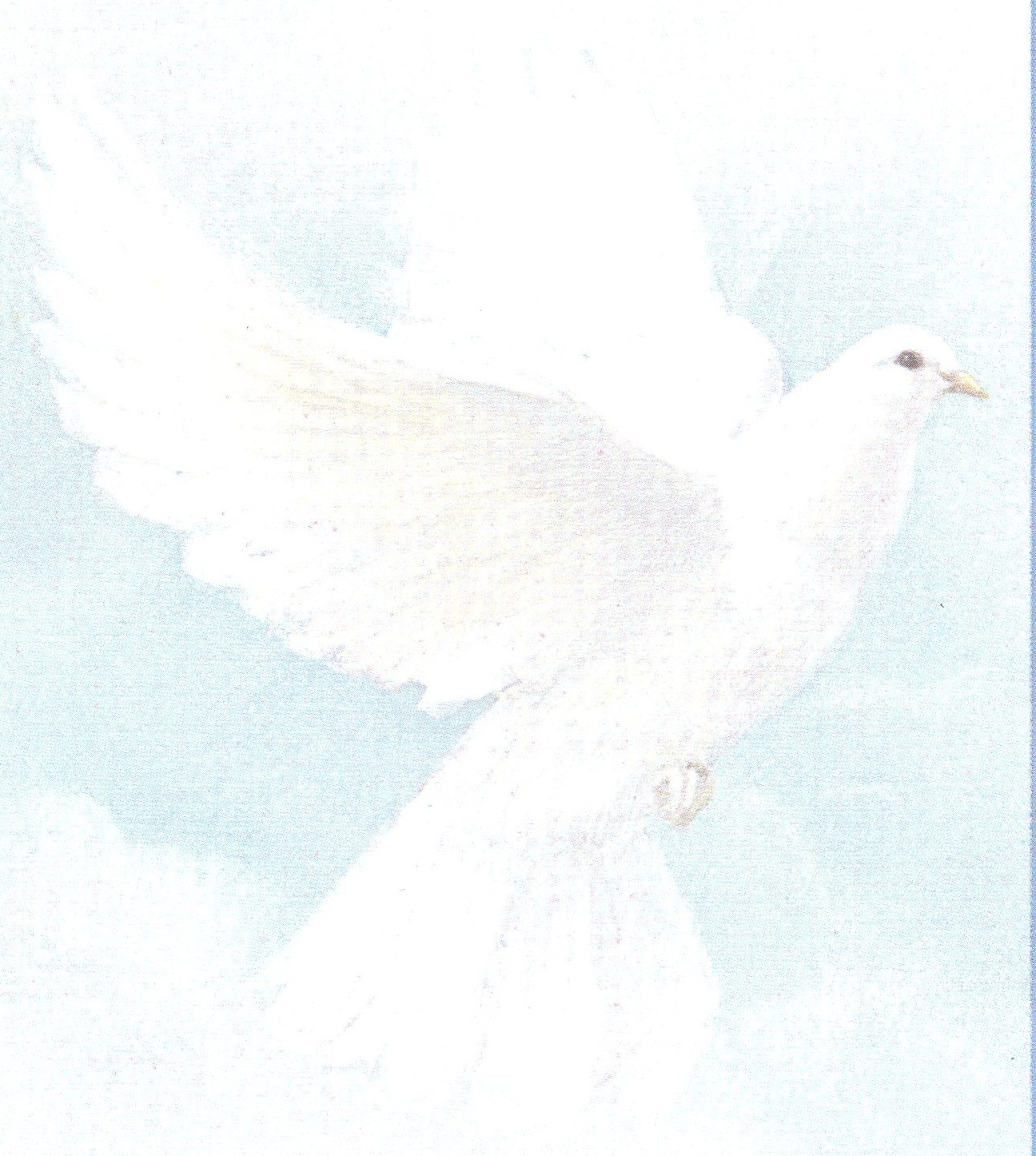 Obituary of Shirley B Russell