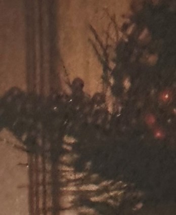 Anne Virginia Sarran Whitman Obituary - Atlanta, GA