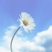 Obituary of Anne Mack Mrs. Morris