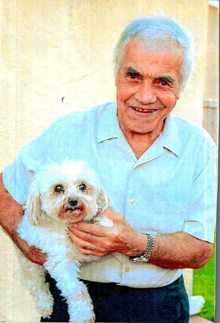 Obituary of Andrea Lo Piccolo