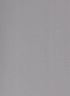 Elizabeth G Reed Obituary - Tampa, FL